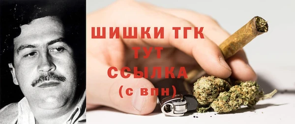 мдпв Коряжма