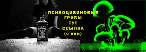 мдпв Коряжма
