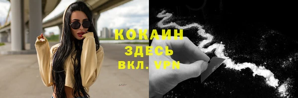 мдпв Коряжма