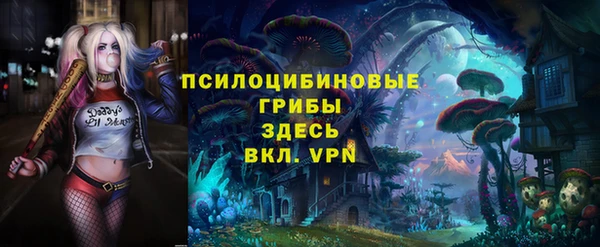 мдпв Коряжма